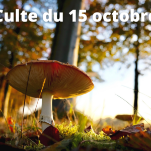 Culte du 15 octobre 2023