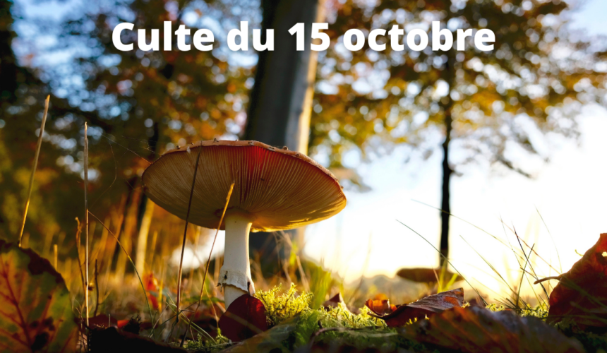 Culte du 15 octobre 2023