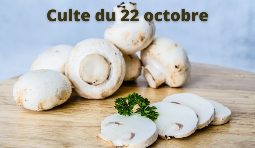 Culte du 22 octobre 2023