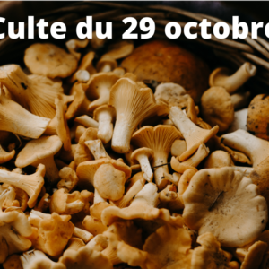 Culte du 29 octobre 2023