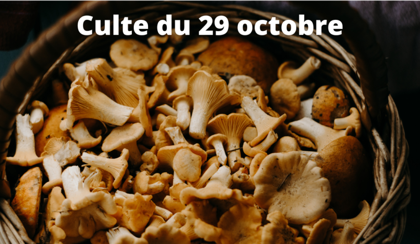 Culte du 29 octobre 2023