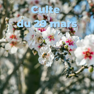 Culte du 29 mars 2026