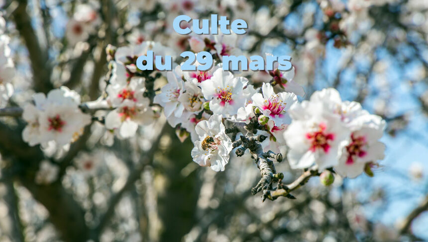 Culte du 29 mars 2026